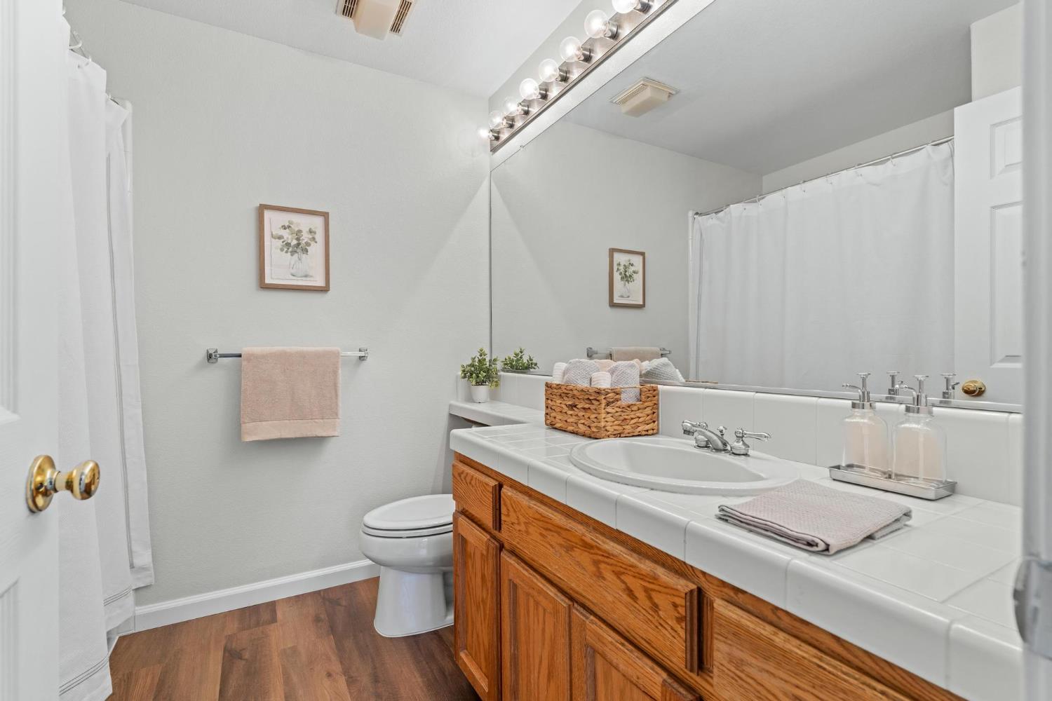 716 Hemmingway Court Tracy, CA 95376 - Photo 28 of 41 a bathroom with a sink a toilet and a mirror