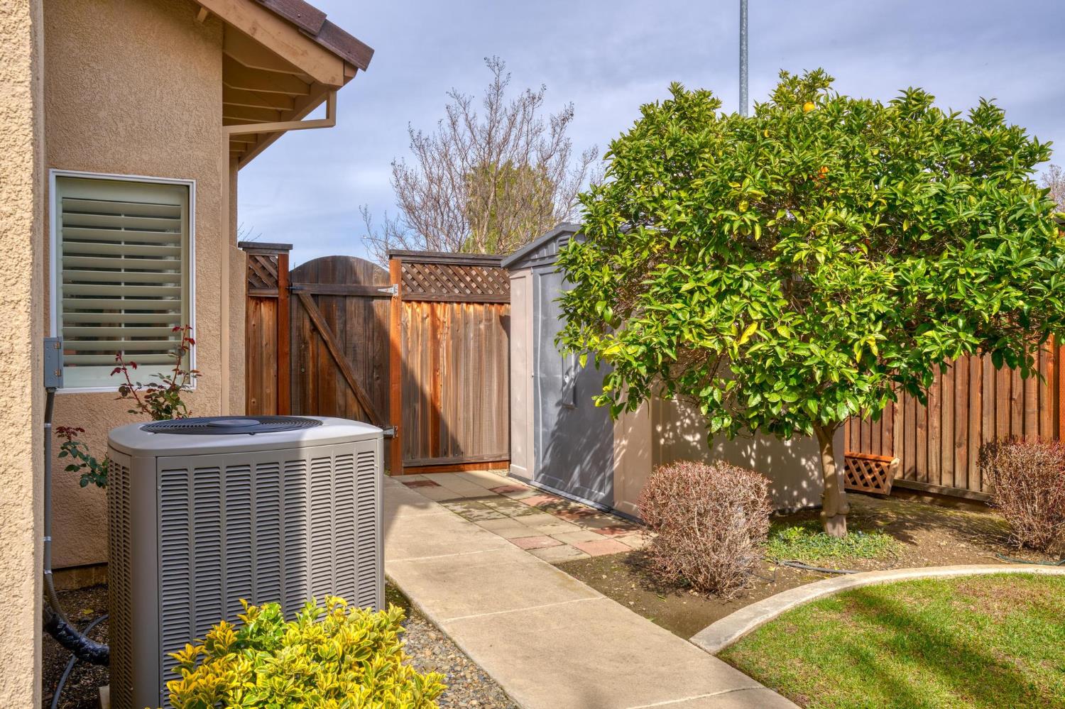 716 Hemmingway Court Tracy, CA 95376 - Photo 35 of 41 a view of a backyard with a tree