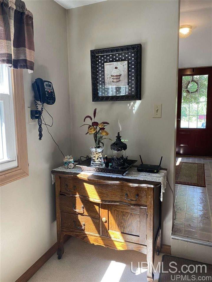 373 Town Hall Road Skandia, MI 49885 - Photo 8 of 47