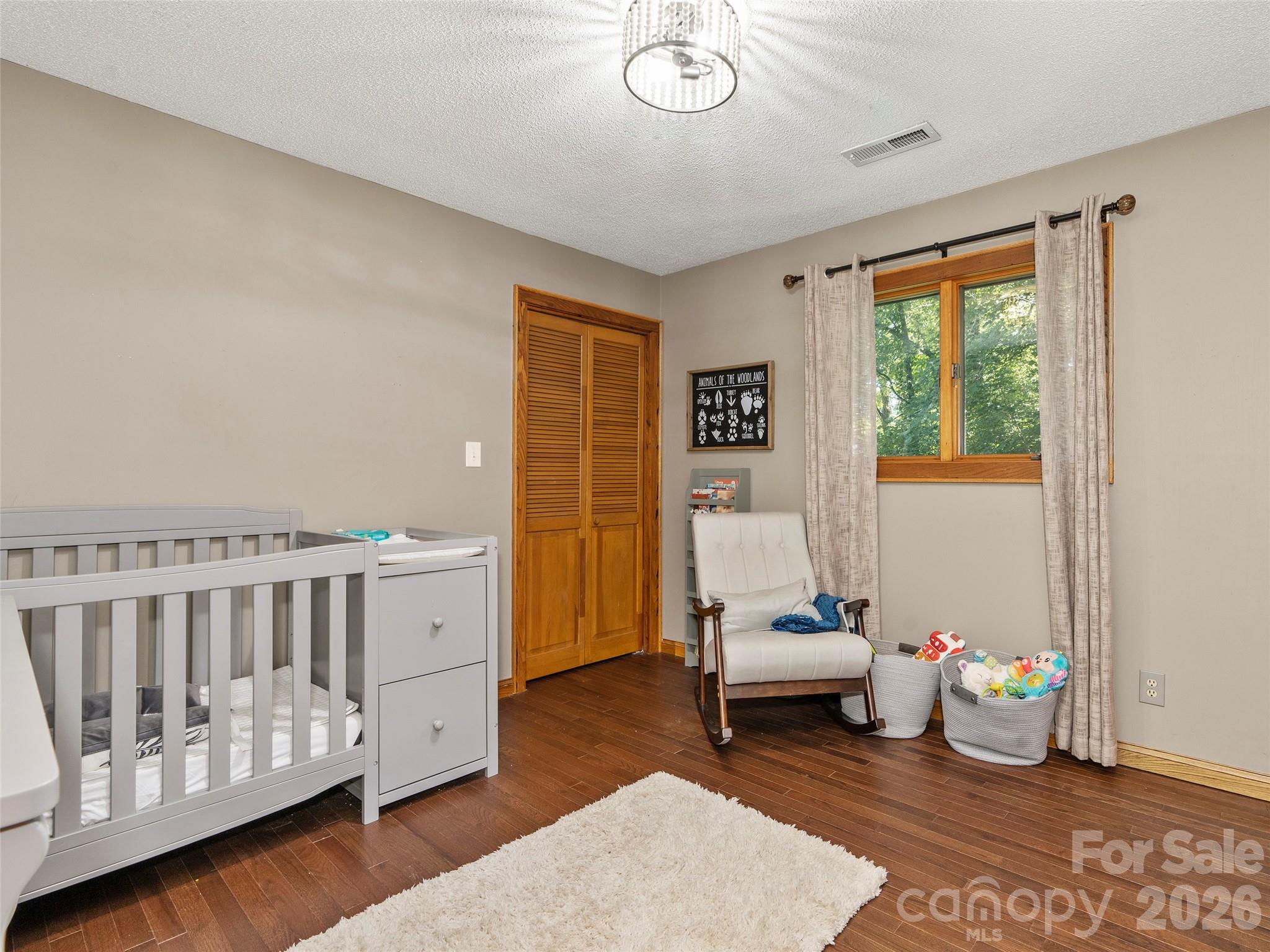 115 Bittersweet Trail Canton, NC 28716 - Photo 21 of 43