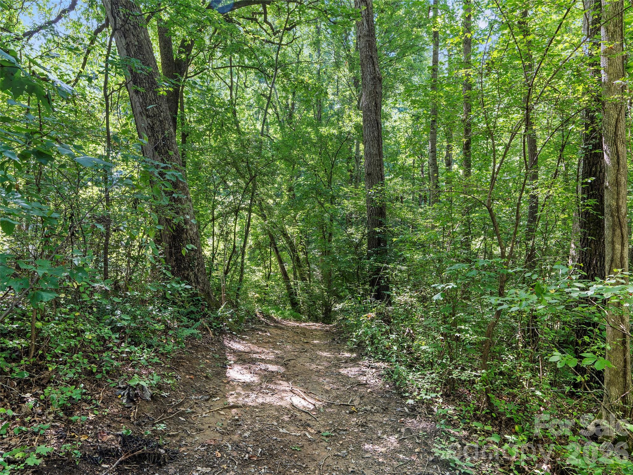 115 Bittersweet Trail Canton, NC 28716 - Photo 41 of 43