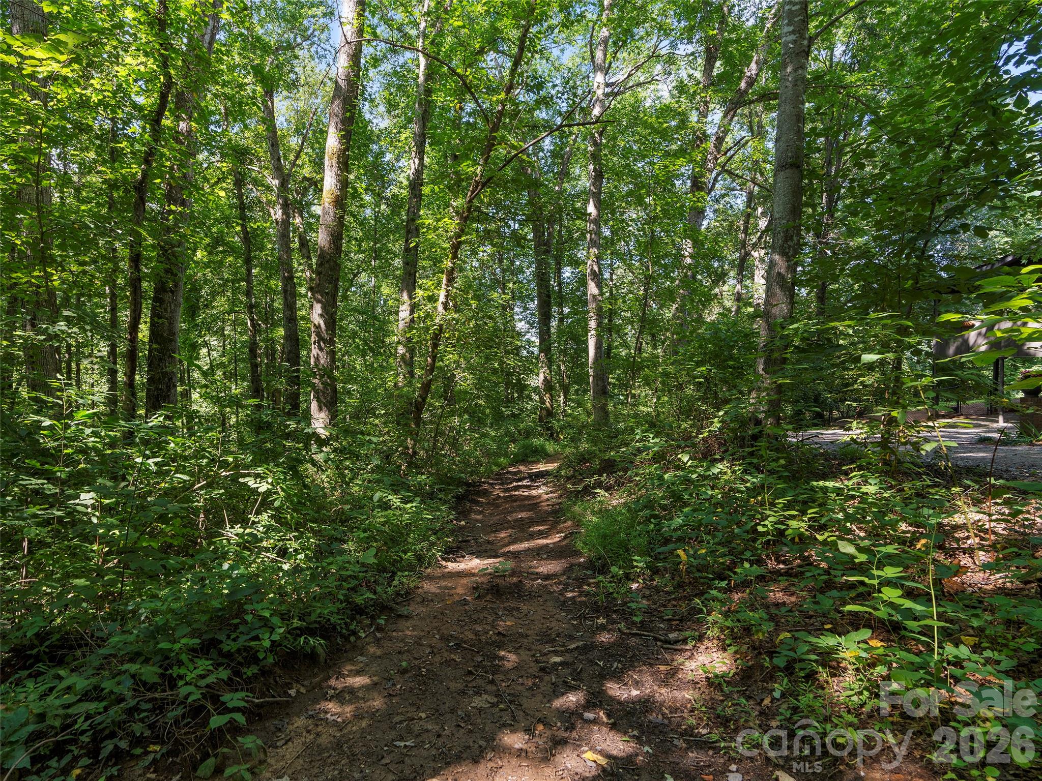 115 Bittersweet Trail Canton, NC 28716 - Photo 42 of 43