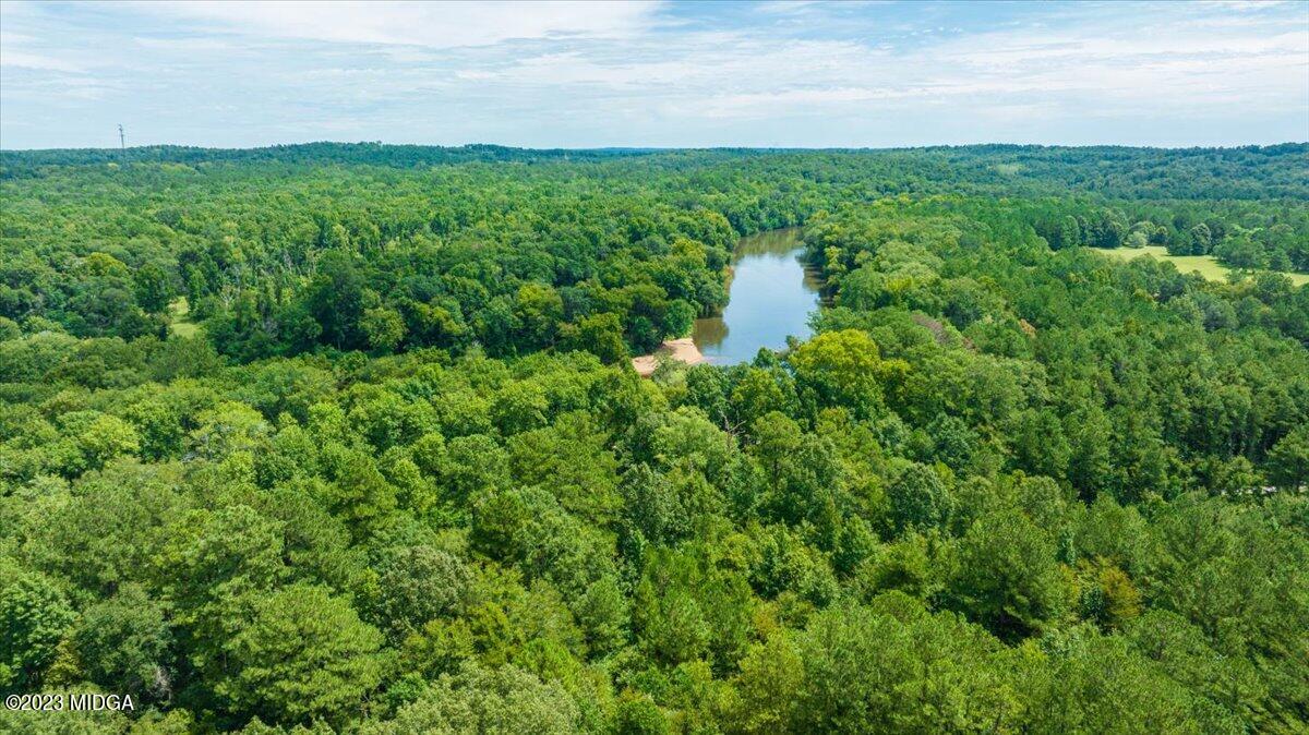 2675 Riverview Road Macon, GA 31204 - Photo 31 of 41 31-DJI_0497