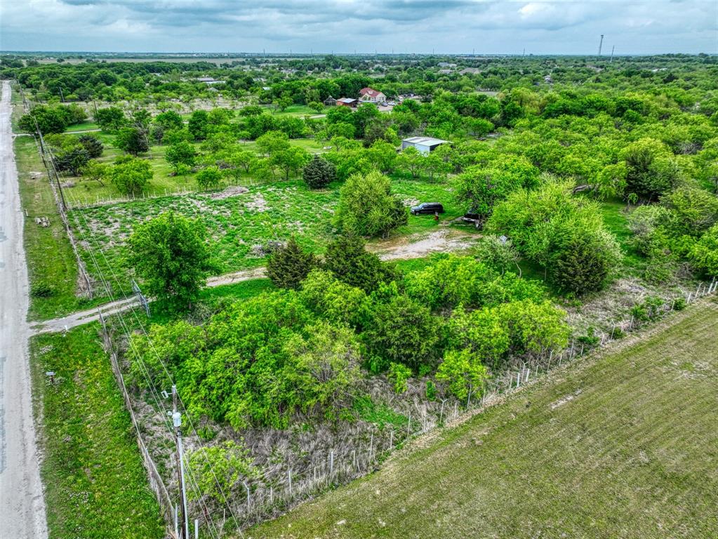 206 185th Rice, TX 75155 - Photo 13 of 23 a view of a lush green forest