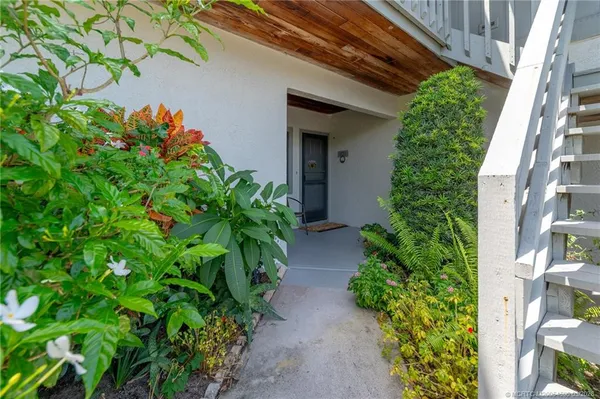 a plant is in a garden of a house