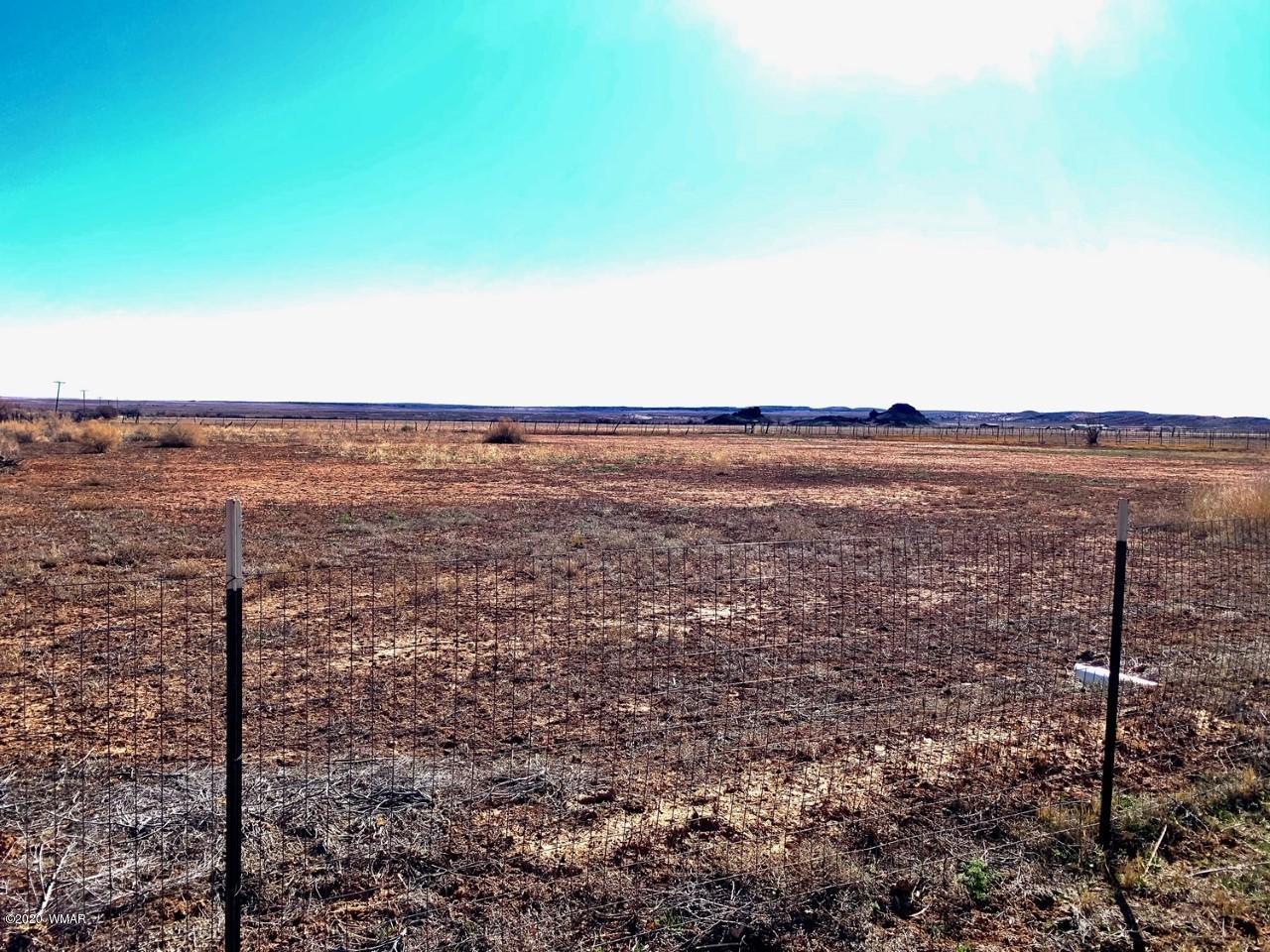 6499 Country Road Woodruff, AZ 85942 - Photo 43 of 43