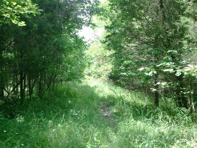 0 Bloodhound Road Dry Ridge, KY 41035 - Photo 2 of 4