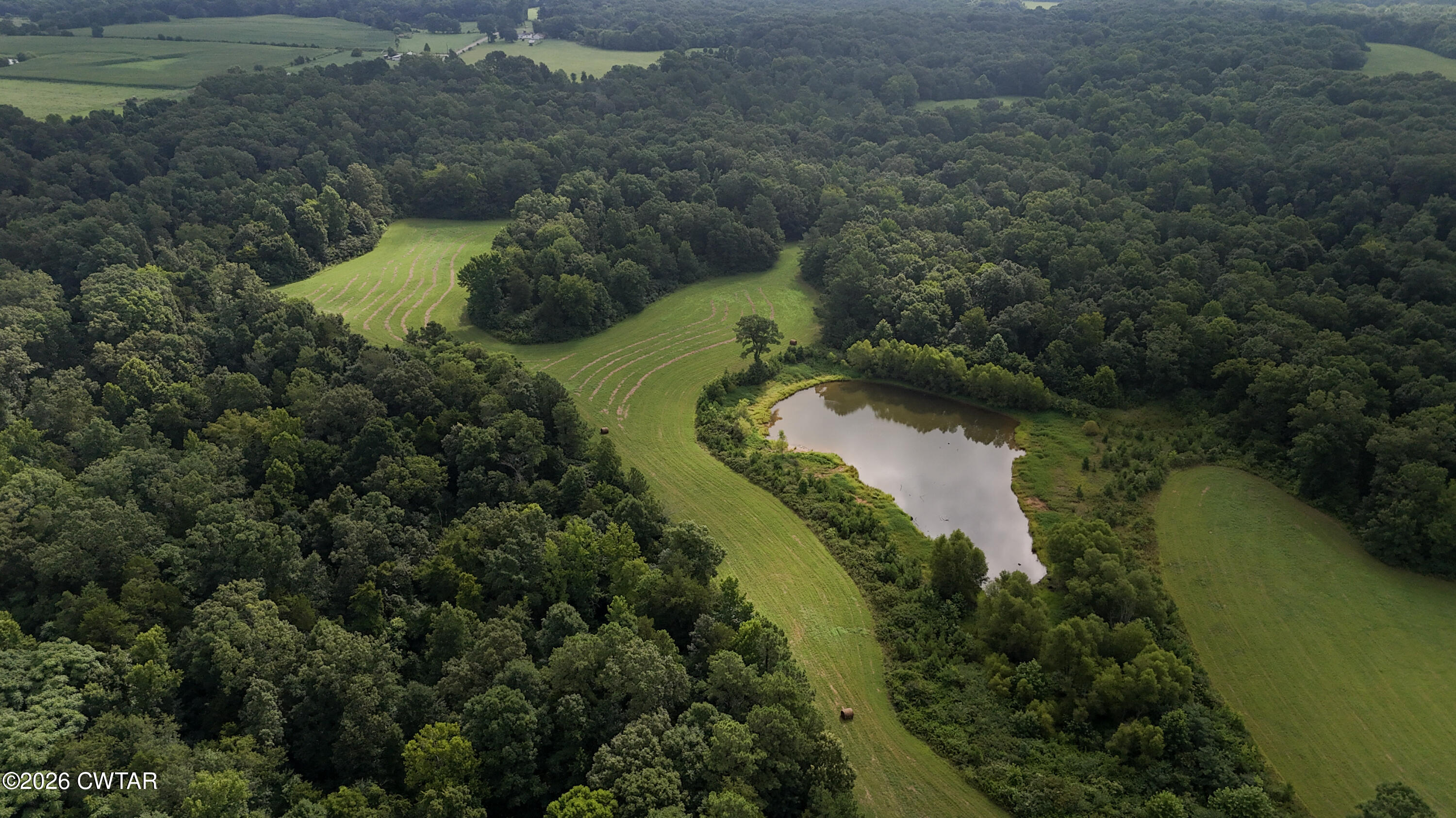 0 Mount Carmel Road Whiteville, TN 38075 - Photo 8 of 41 31-DJI_20260715093615_0397_D