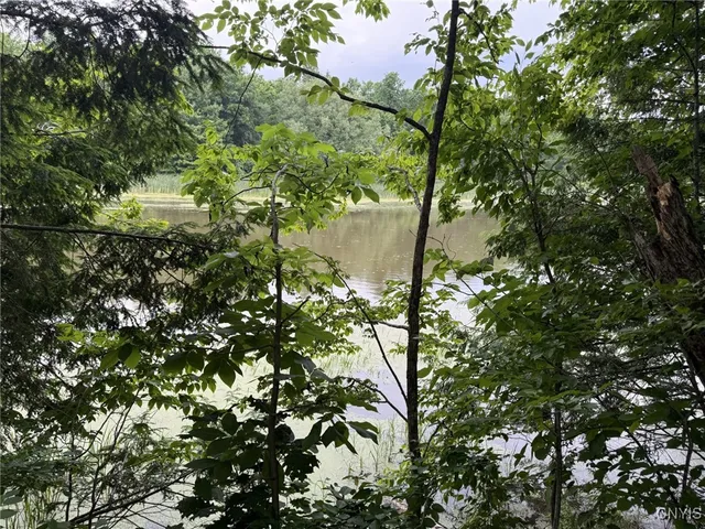 $65,000 | 0 Lot C County Rt 179, Chaumont, NY 13622