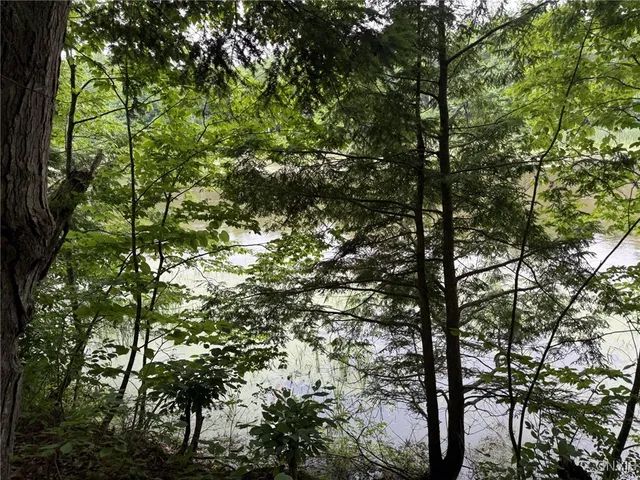 $65,000 | 0 Lot C County Rt 179, Chaumont, NY 13622