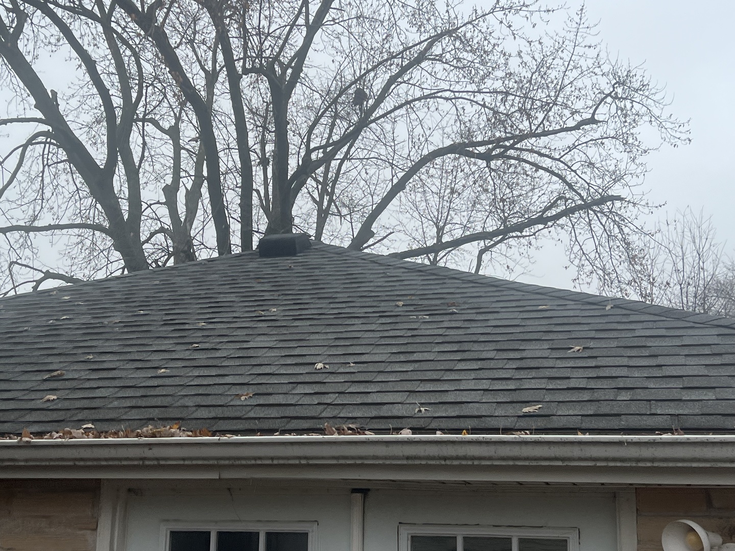 720 East Marion Street Clinton, IL 61727 - Photo 25 of 29 a view of trees with sky view