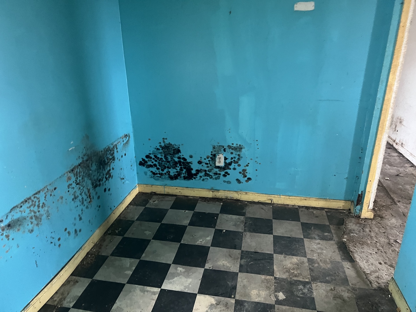 720 East Marion Street Clinton, IL 61727 - Photo 10 of 29 a picture of a black and white checkered floor