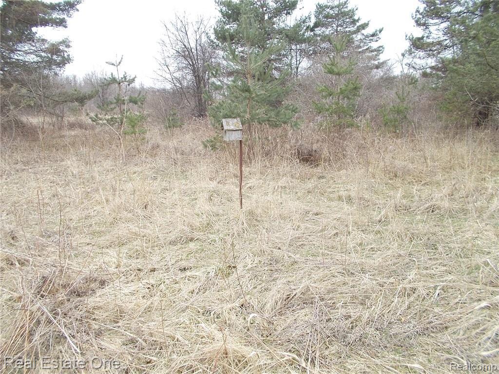 0 North Lake George Road Oakland, MI 48363 - Photo 8 of 55