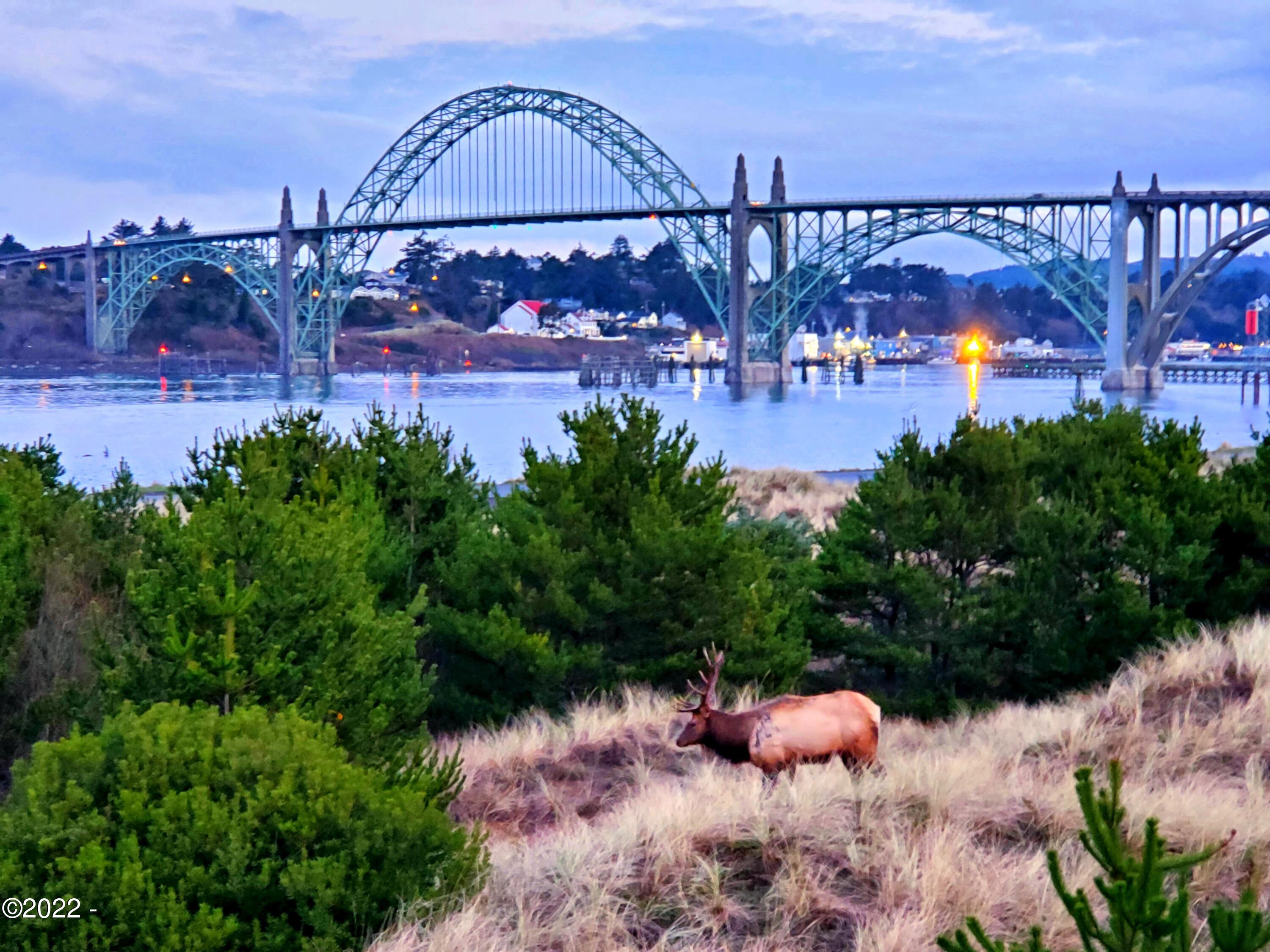 370 Southwest 29th Street Newport, OR 97366 - Photo 26 of 26 20210122_073707