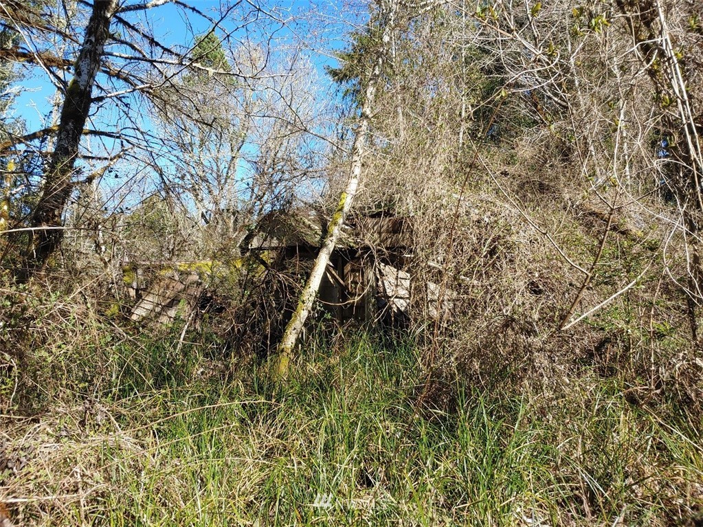 0 Stackpole Road Oysterville, WA 98641 - Photo 4 of 11 Gallery Image 4