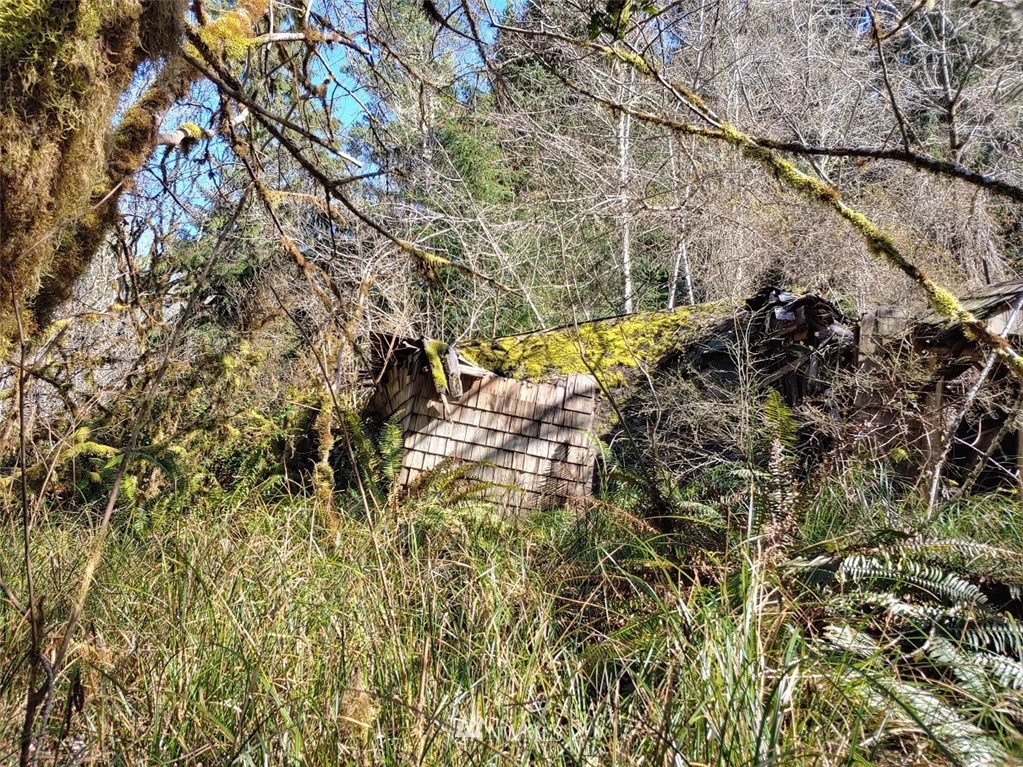 0 Stackpole Road Oysterville, WA 98641 - Photo 5 of 11 Gallery Image 5