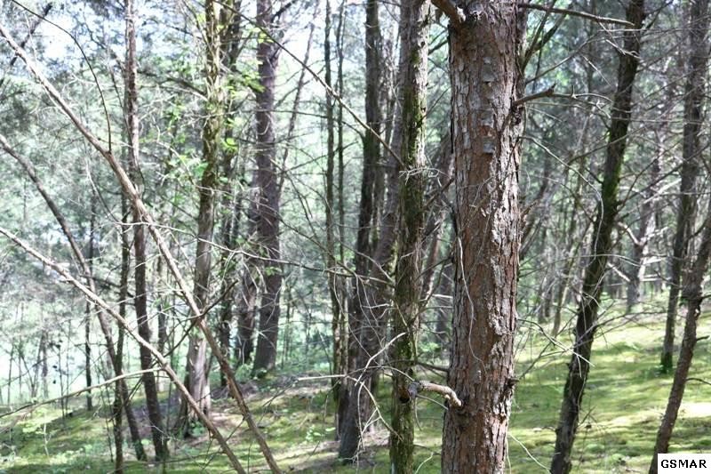 0 Lot 35 Buck Horn Road Sevierville, TN 37876 - Photo 11 of 30
