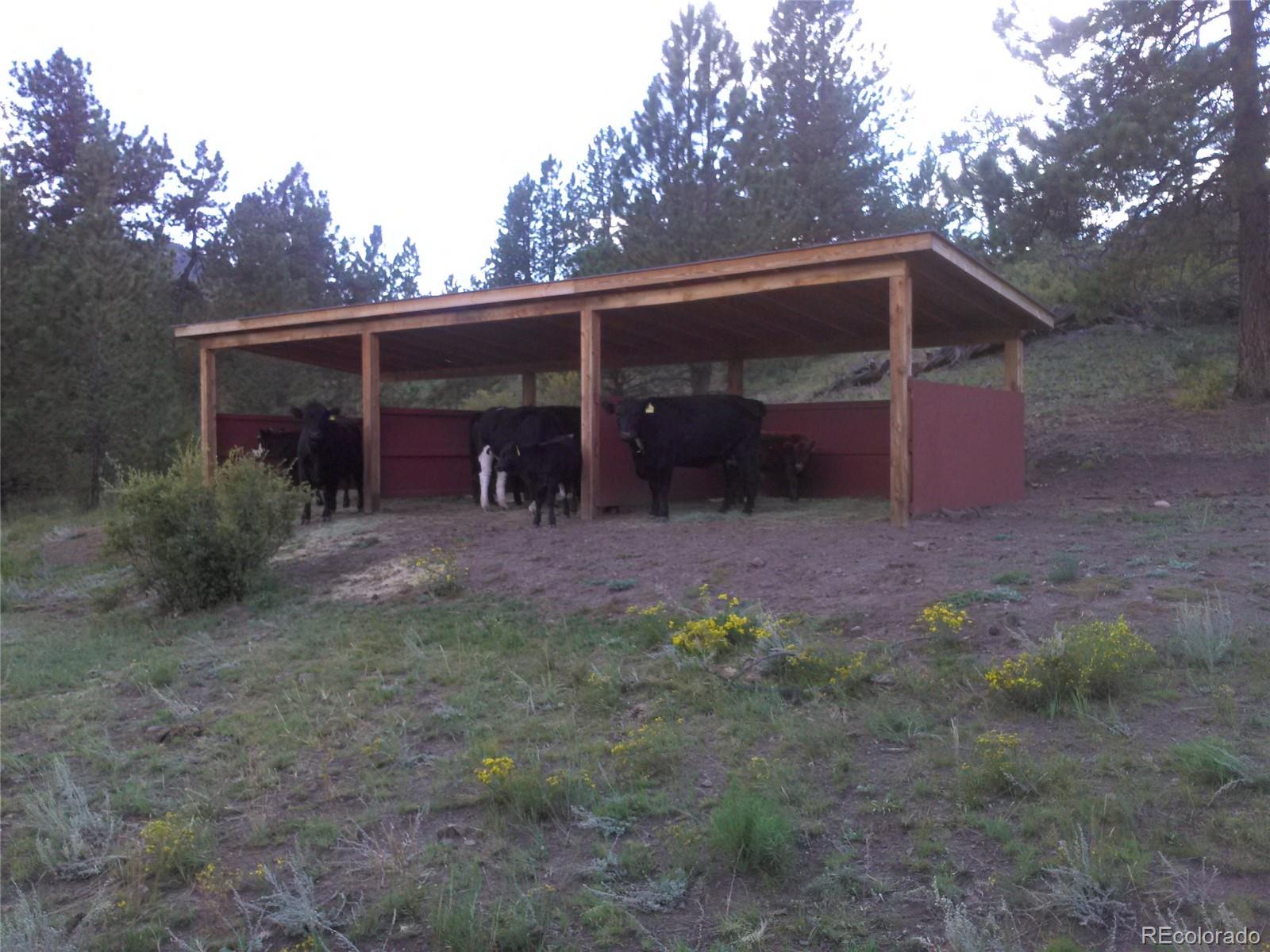 Post Road Guffey, CO 80820 - Photo 11 of 31 a view of backyard with wooden fence and large trees