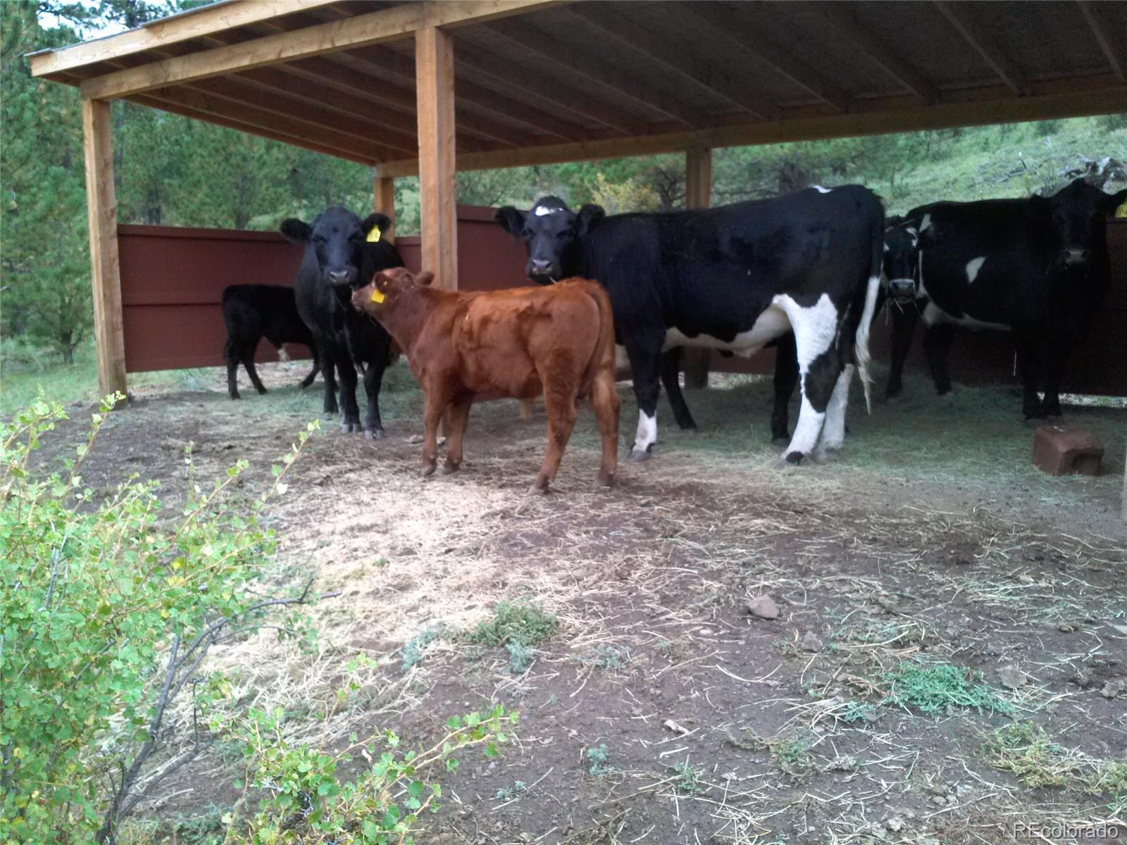 Post Road Guffey, CO 80820 - Photo 12 of 31 a view of a patio