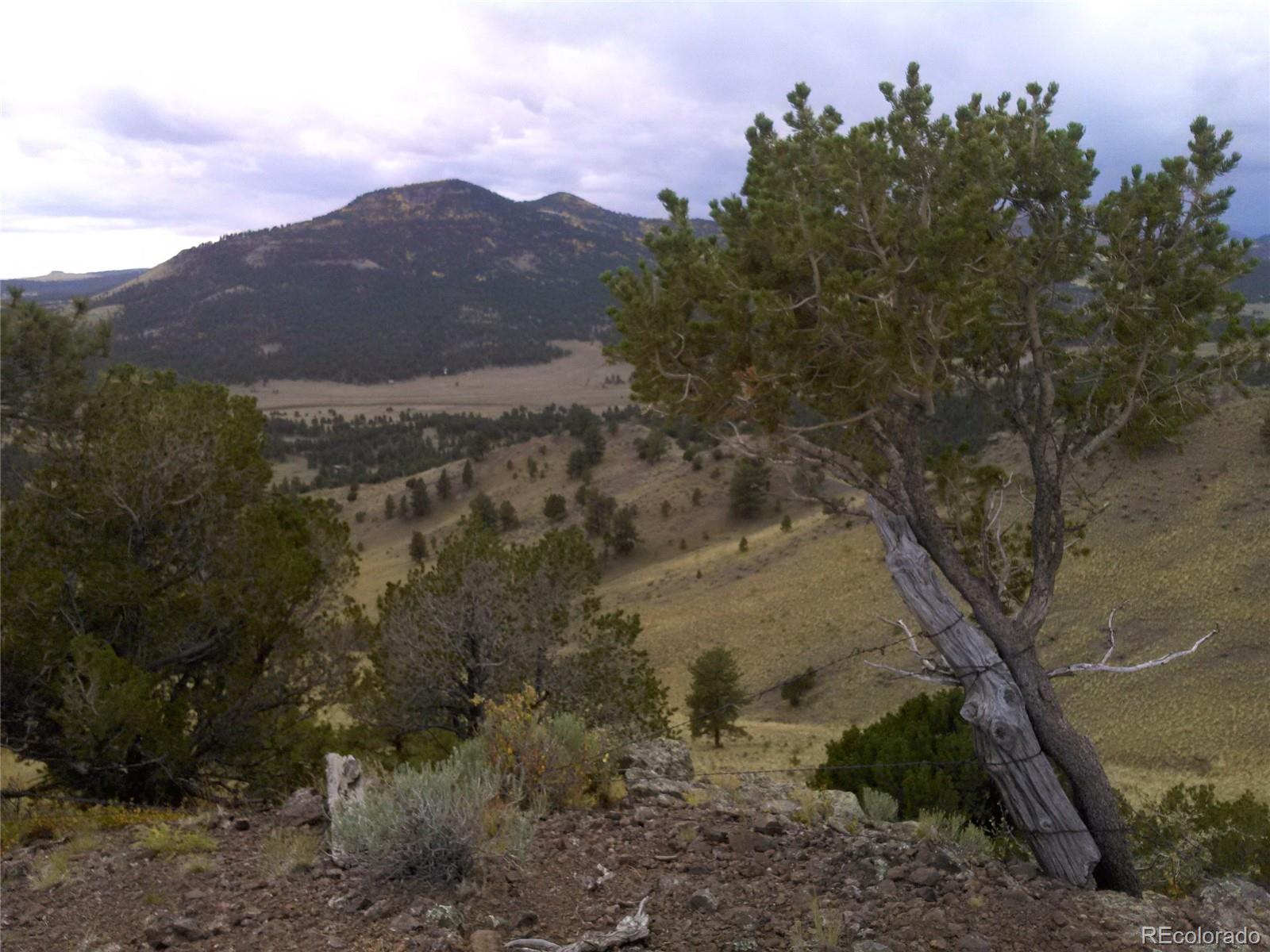 Post Road Guffey, CO 80820 - Photo 13 of 31 a view of a dry yard with mountains in the background