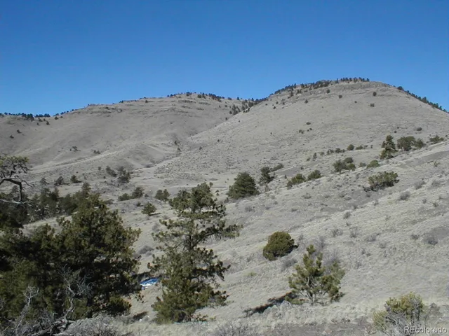 a view of a dry field with mountains in the background