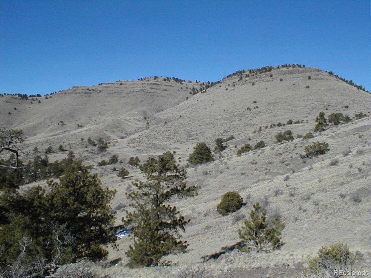 Post Road Guffey, CO 80820 - Photo 17 of 31 a view of a dry field with mountains in the background