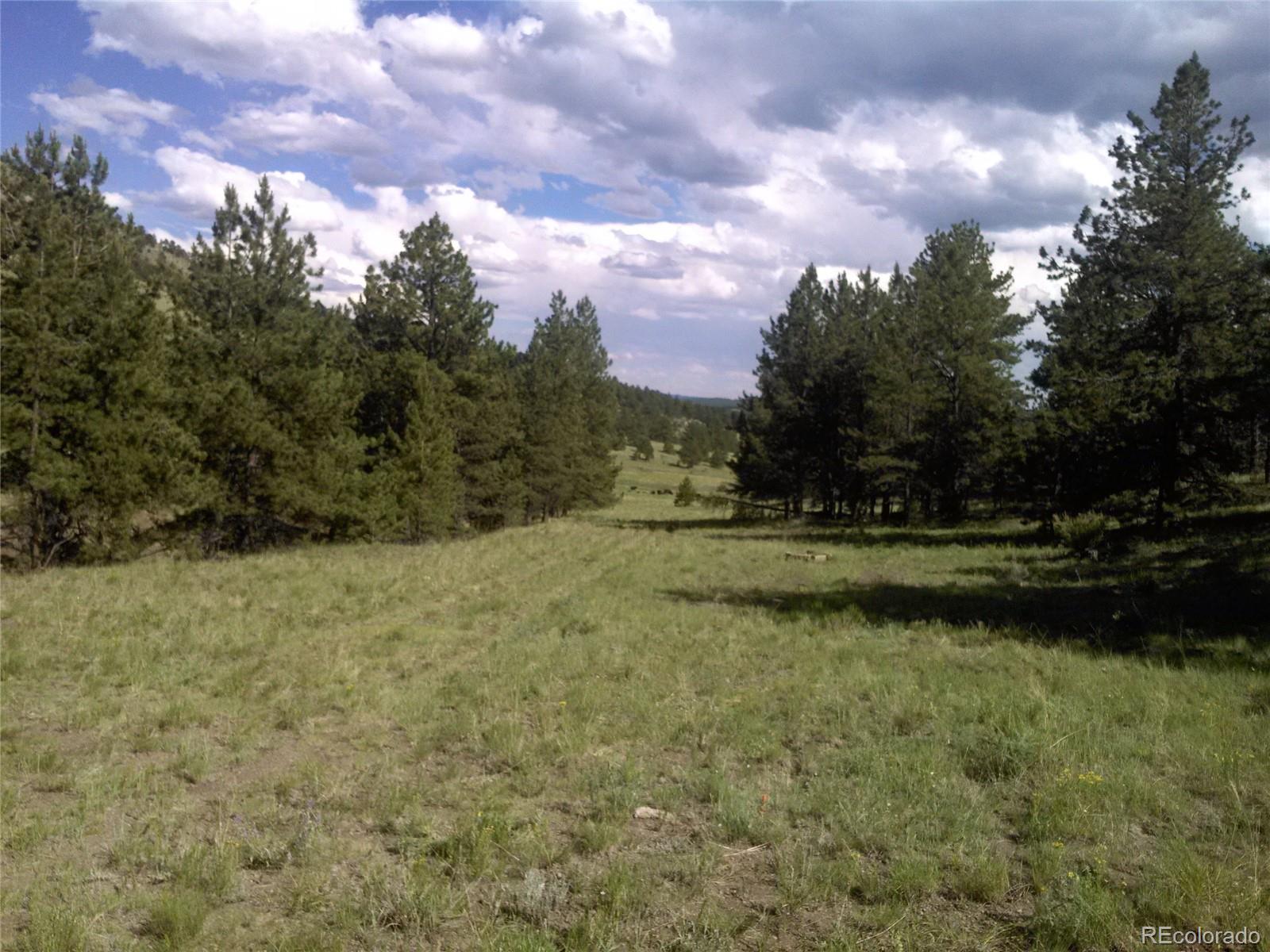 Post Road Guffey, CO 80820 - Photo 18 of 31 a view of a yard