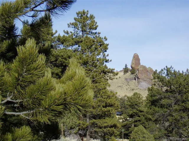 a view of a bunch of flowers