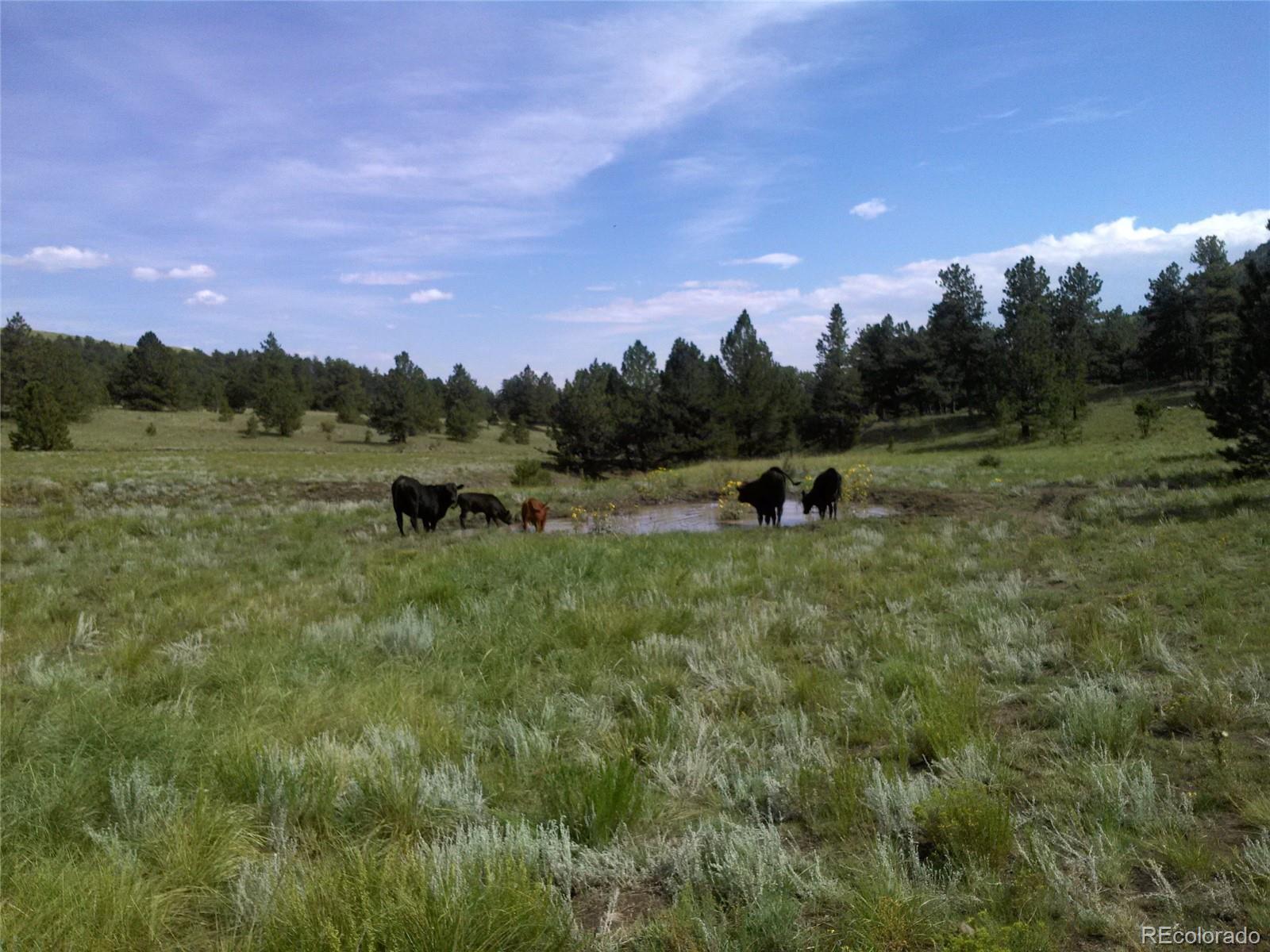 Post Road Guffey, CO 80820 - Photo 22 of 31 a view of outdoor space with mountain view