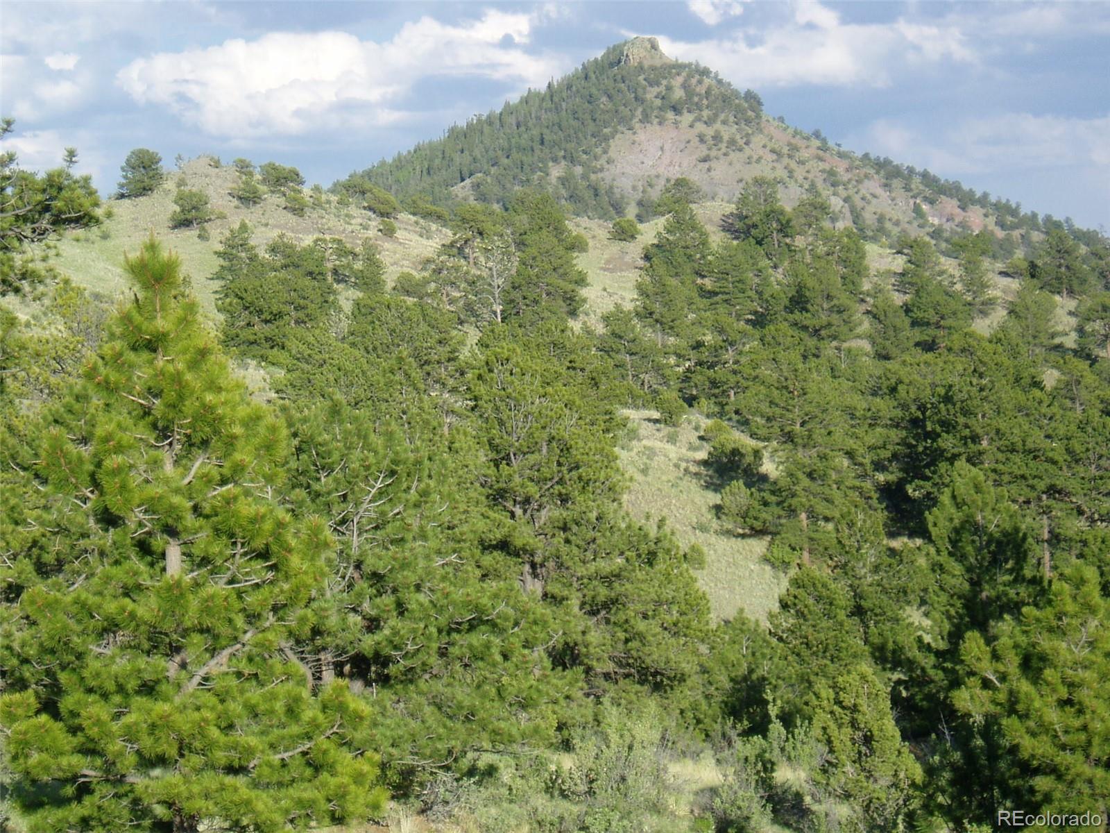 Post Road Guffey, CO 80820 - Photo 25 of 31 a view of a forest