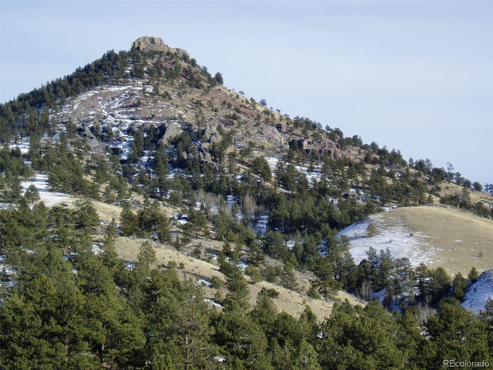 Post Road Guffey, CO 80820 - Photo 30 of 31 a view of a field