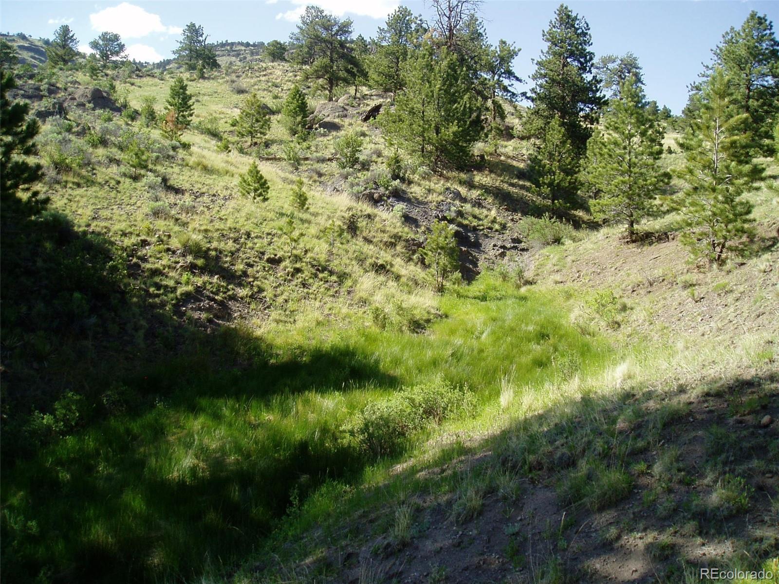 Post Road Guffey, CO 80820 - Photo 5 of 31 a view of a yard