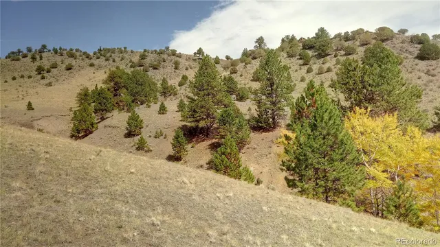 a view of a snow on a beach
