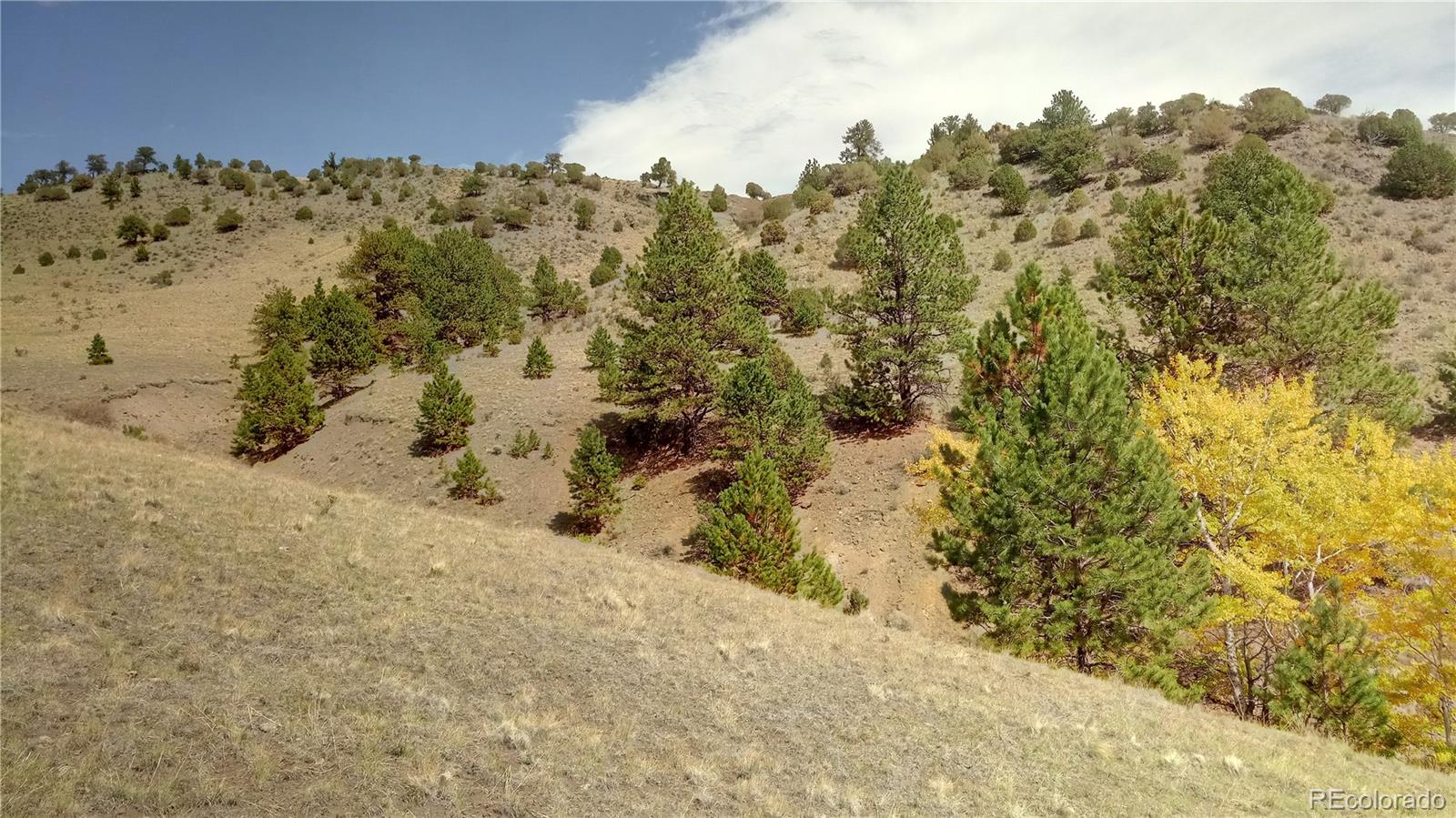 Post Road Guffey, CO 80820 - Photo 6 of 31 a view of a snow on a beach