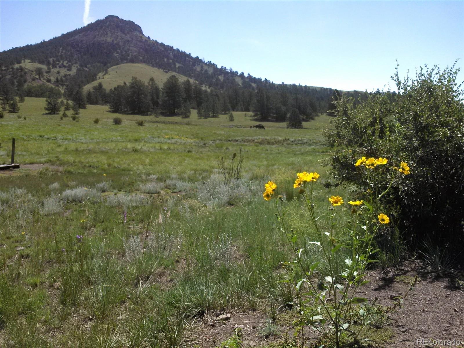 Post Road Guffey, CO 80820 - Photo 10 of 31 a view of an outdoor space and a mountain view