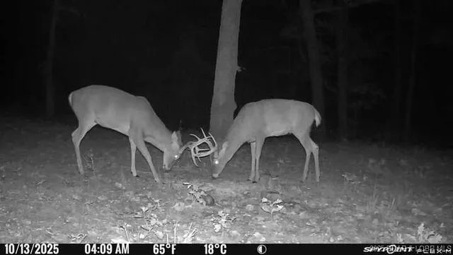 $970,000 | 13715 Industry Road, Lebanon, MO 65536