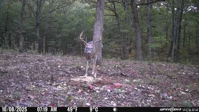 $970,000 | 13715 Industry Road, Lebanon, MO 65536