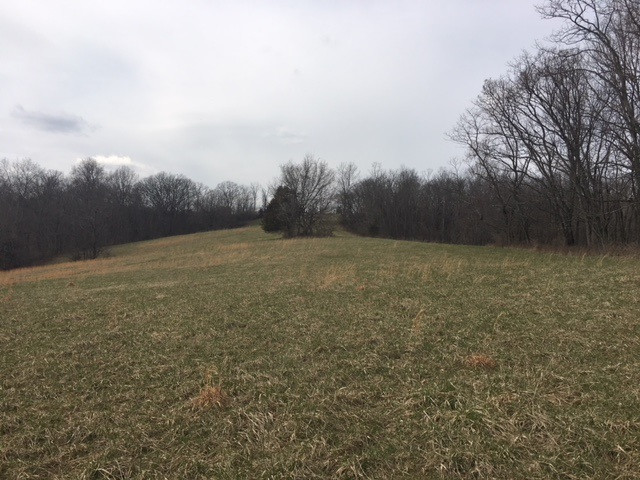 0 Denny Road Berry, KY 41003 - Photo 3 of 11 Gallery Image 3