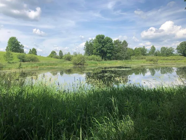 $99,995 | Tbd Dixon Line Road, Finlayson, MN 55735