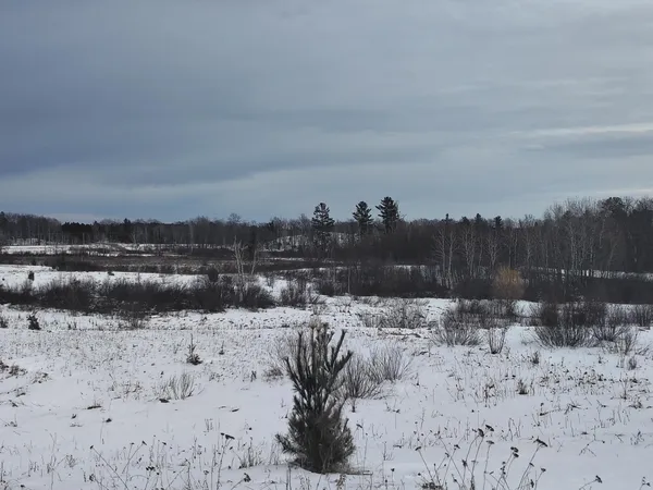 $99,995 | Tbd Dixon Line Road, Finlayson, MN 55735