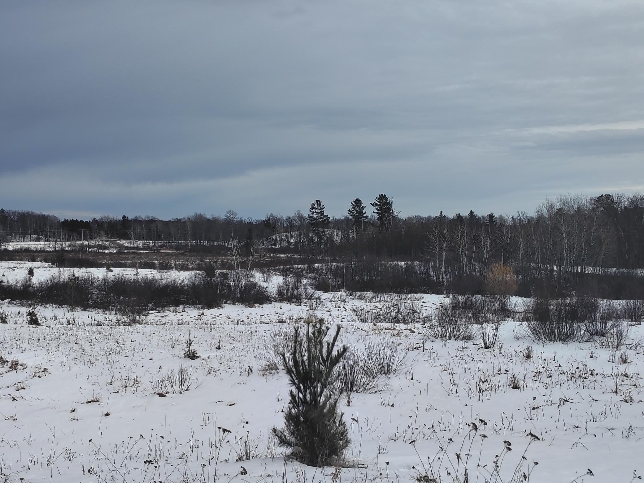 Tbd Dixon Line Road Finlayson, MN 55735 - Photo 11 of 22