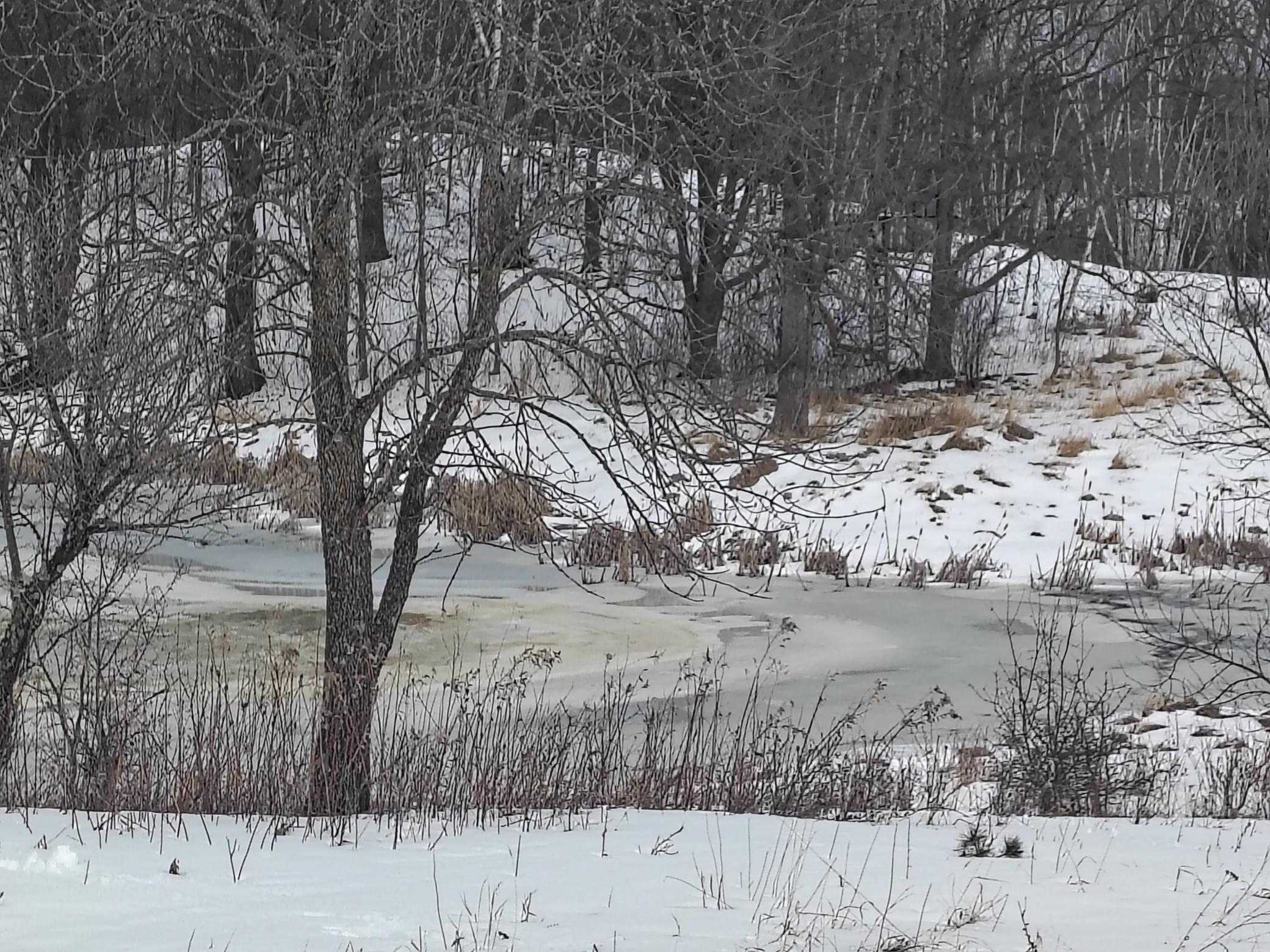 Tbd Dixon Line Road Finlayson, MN 55735 - Photo 13 of 22