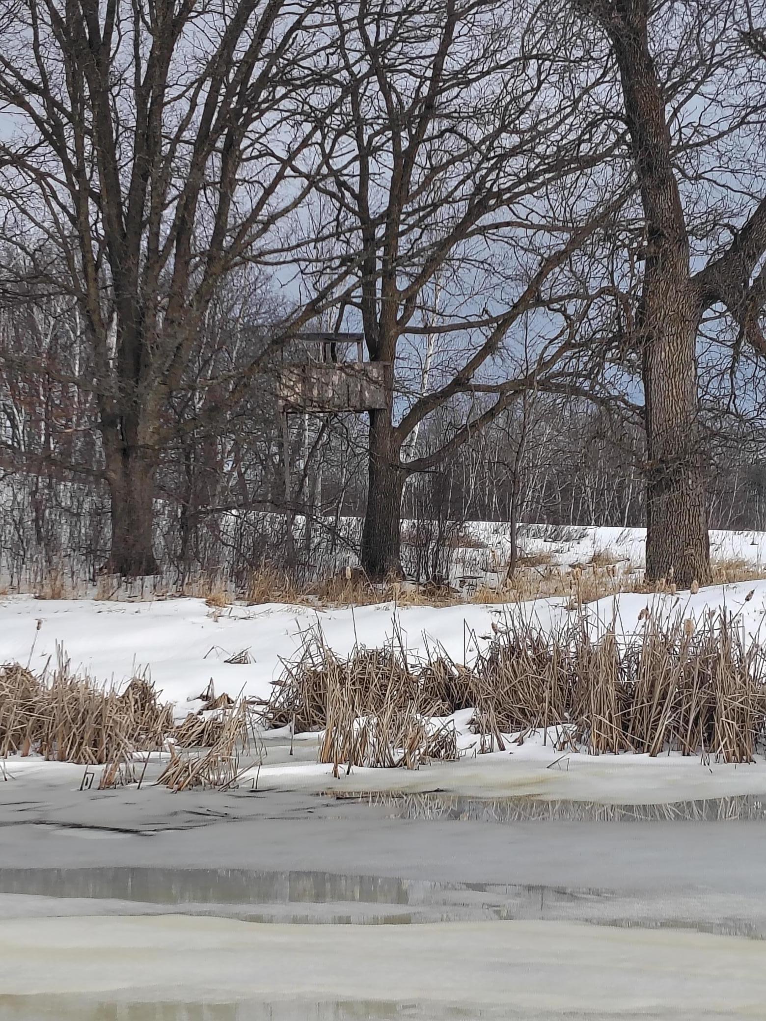 Tbd Dixon Line Road Finlayson, MN 55735 - Photo 14 of 22