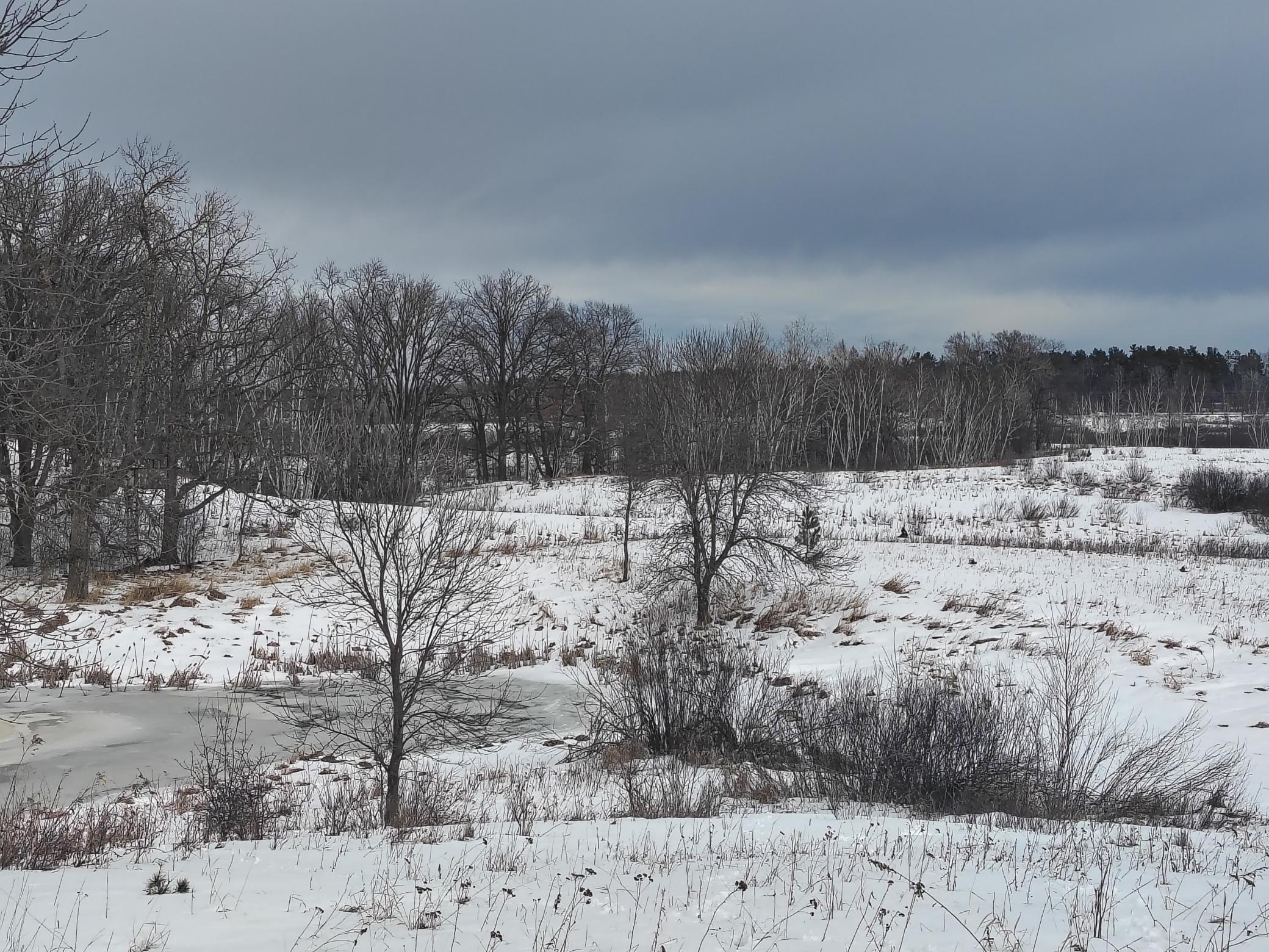 Tbd Dixon Line Road Finlayson, MN 55735 - Photo 15 of 22