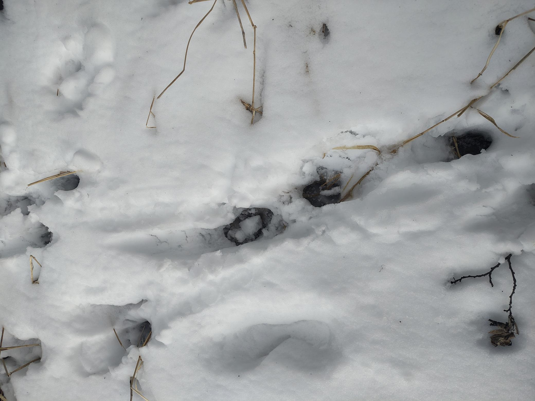 Tbd Dixon Line Road Finlayson, MN 55735 - Photo 17 of 22