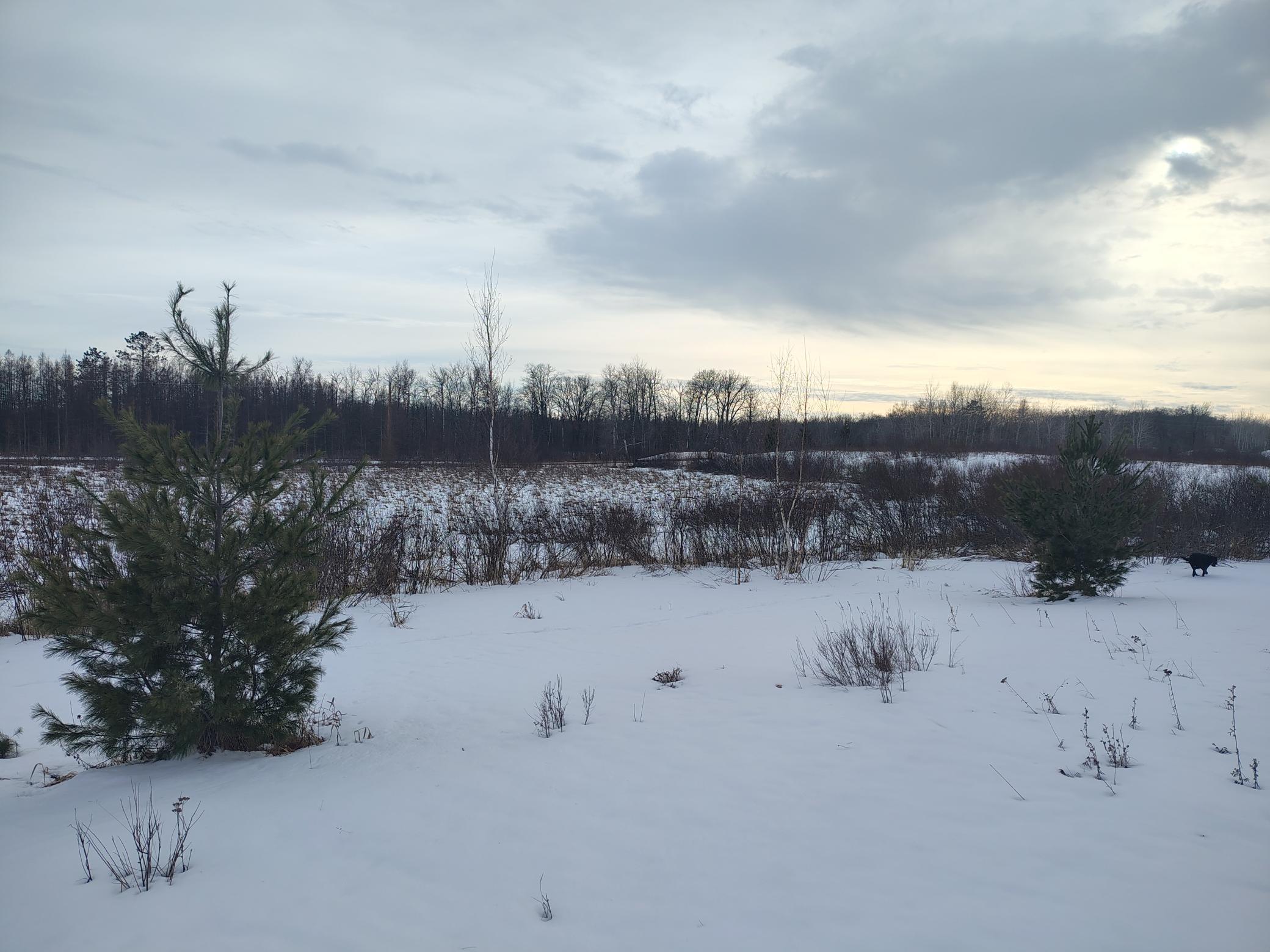 Tbd Dixon Line Road Finlayson, MN 55735 - Photo 20 of 22