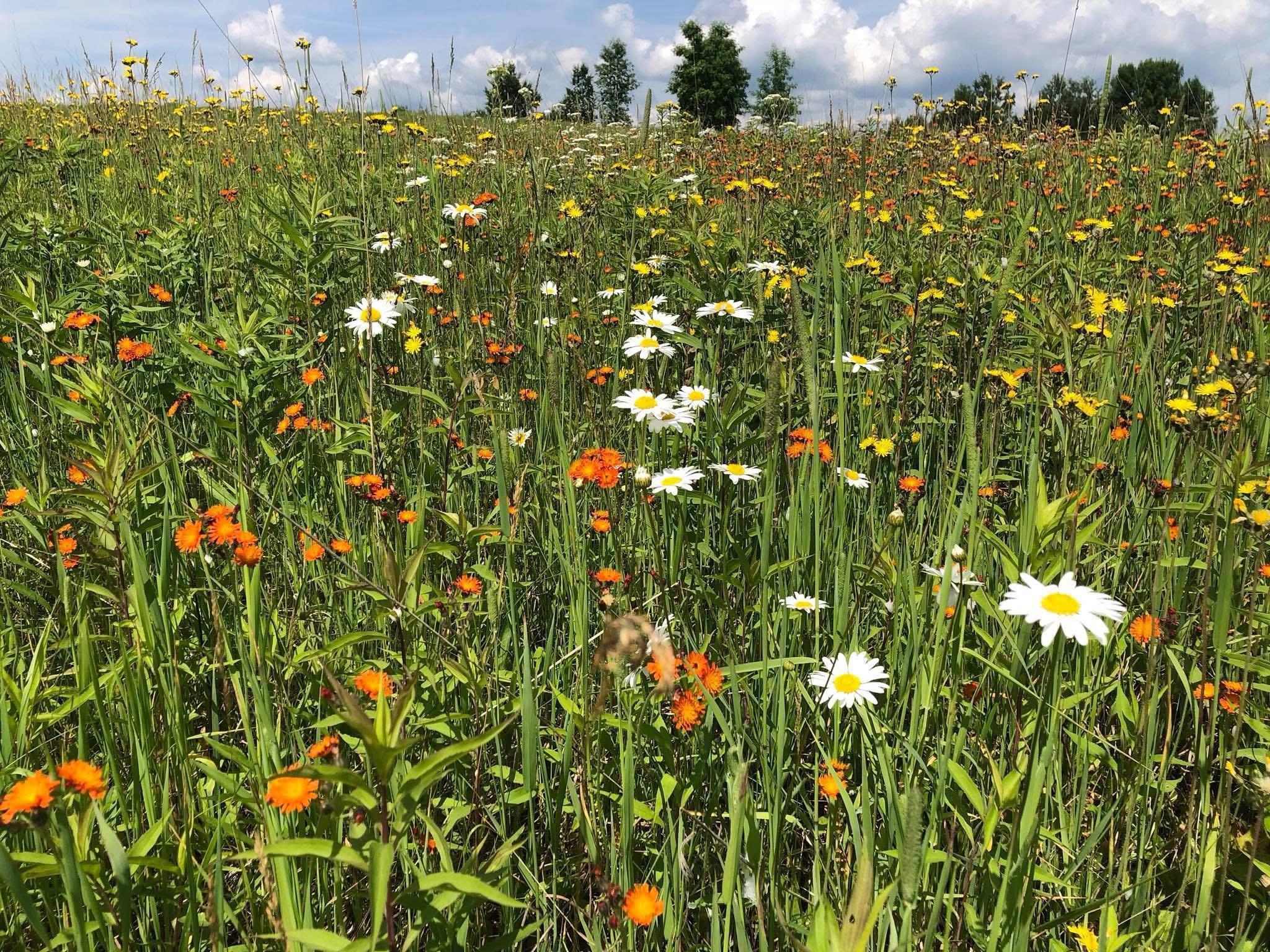 Tbd Dixon Line Road Finlayson, MN 55735 - Photo 2 of 22