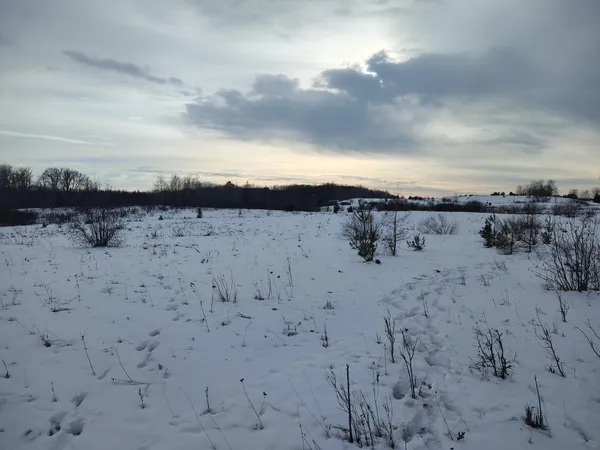 $99,995 | Tbd Dixon Line Road, Finlayson, MN 55735
