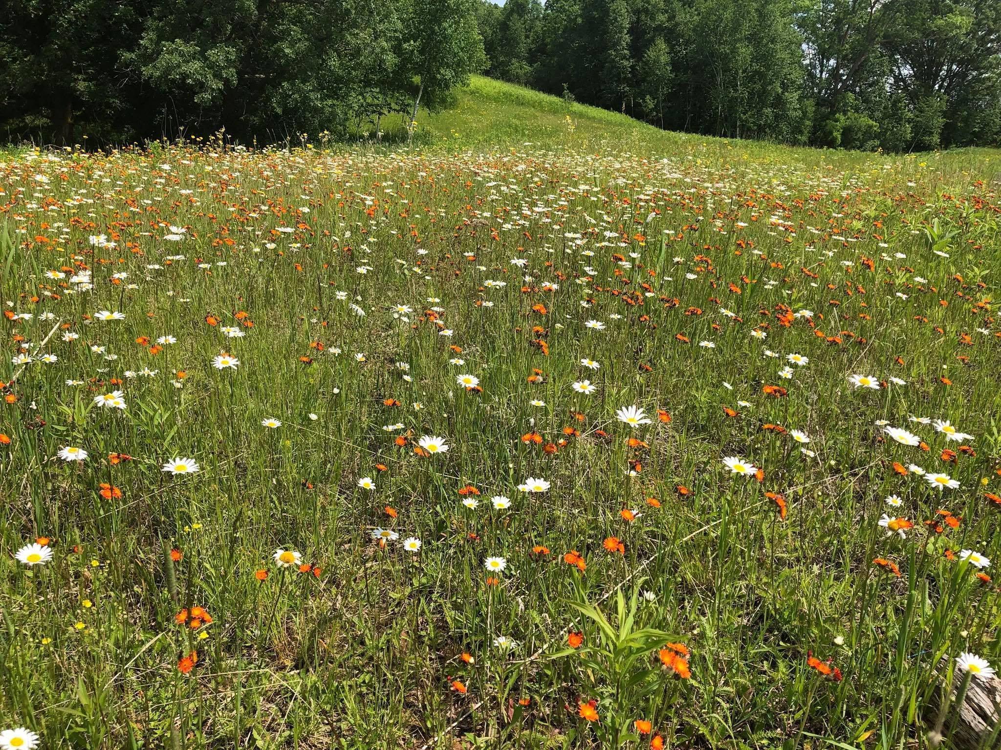 Tbd Dixon Line Road Finlayson, MN 55735 - Photo 3 of 22