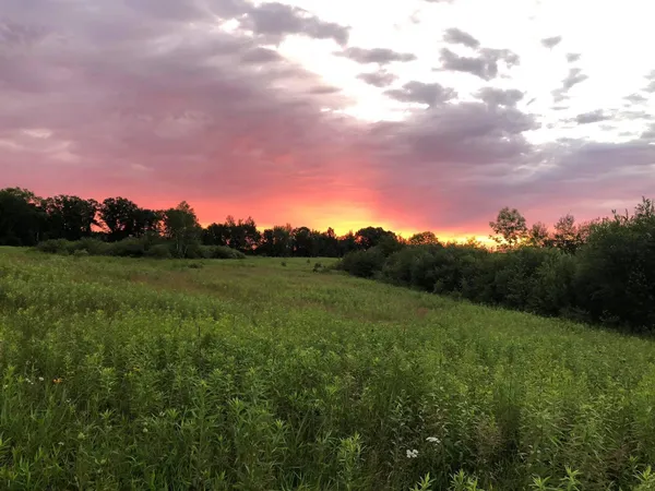 $99,995 | Tbd Dixon Line Road, Finlayson, MN 55735